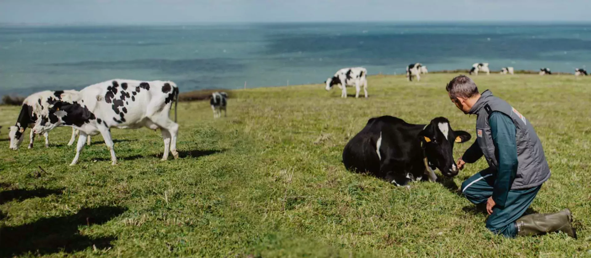 Wie zijn de mensen achter Paysan Breton?