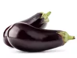 Aubergine