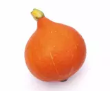 Potimarron