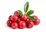 Cranberries