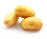 Pomme de terre