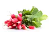 Radis rose