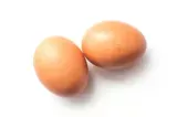 Oeuf