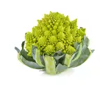 Chou romanesco