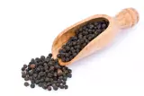 Grain de poivre