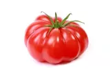 Tomate coeur de boeuf