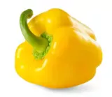 Poivron jaune