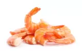 Crevette