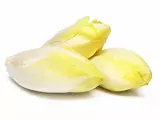 Chicory