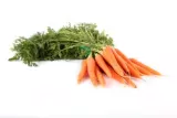 Carrot