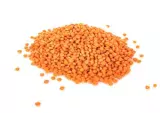 Lentille corail