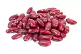 Kidney bean