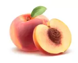 Pêche