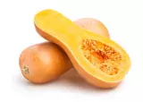 Butternut squash