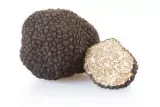 Truffe