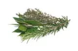 herbes aromatiques