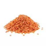 Lentille Corail