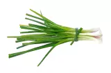 ciboule