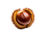 Cooked Chestnuts