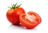 concassé de tomates