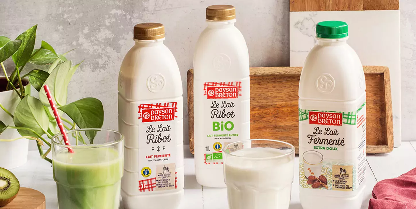 Lait de soja : les bienfaits de cette boisson sans lactose